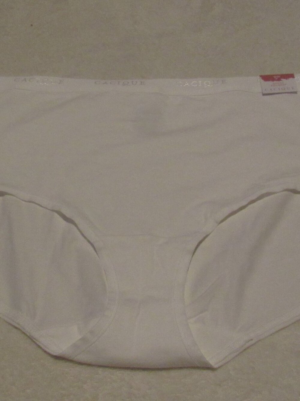 Cacique Whittie Full Brief Panty Size 18/20 NWT